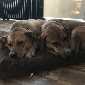 Meet your Posher, Heather